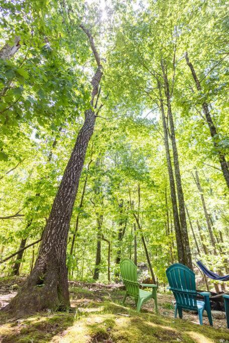 Pet Friendly Luxury Cabin Near Helen With Fire Pit Cleveland Exterior foto